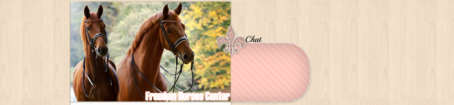 FHC ~ Freedom Horses Center